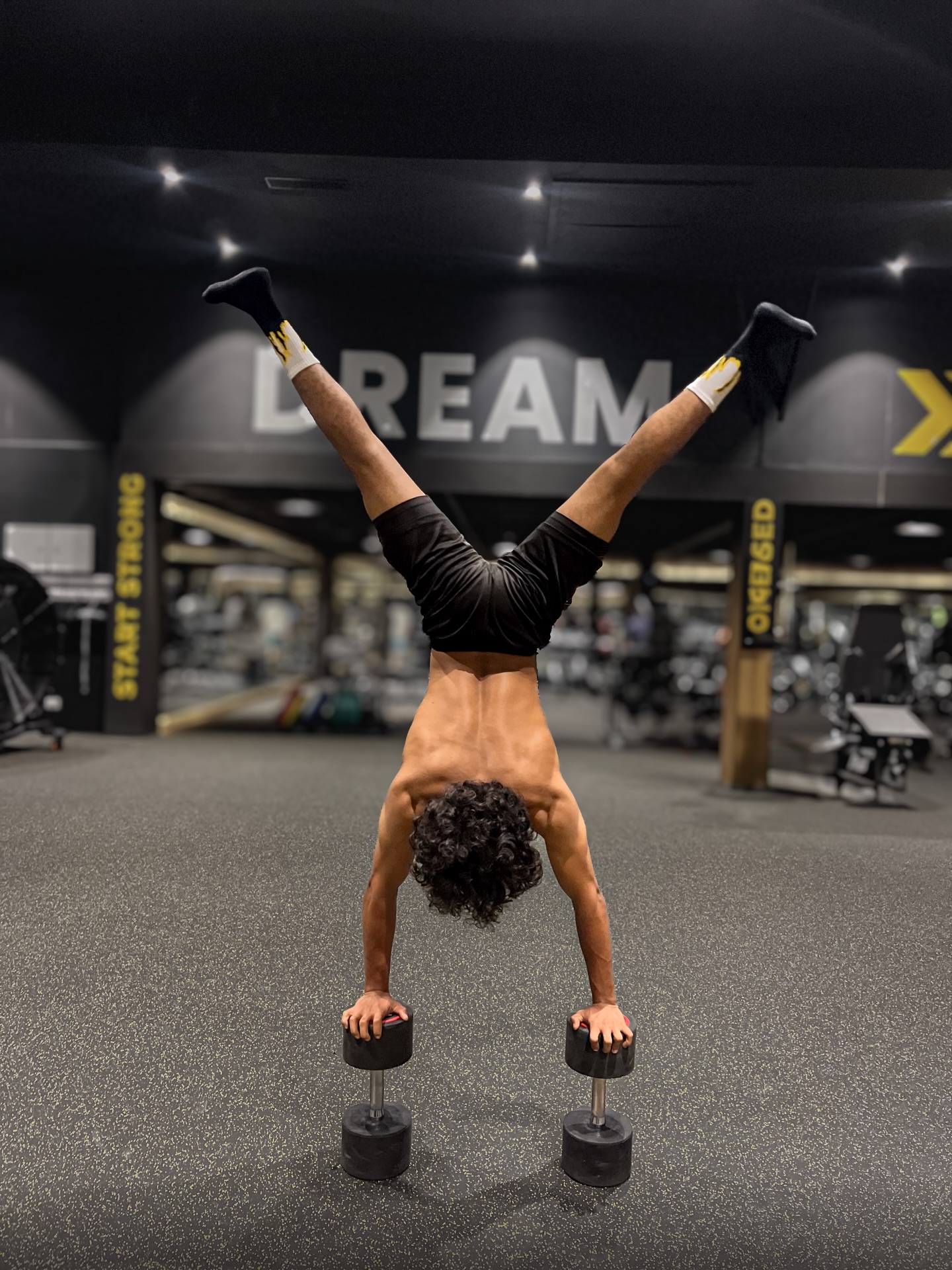 Handstand on dumbbells in front of the DREAM wall